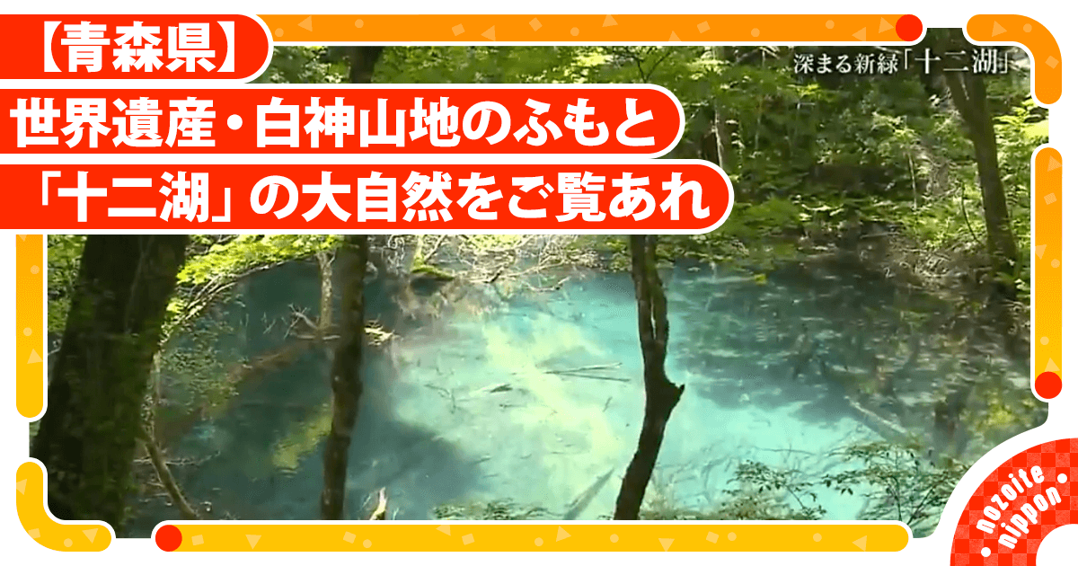 縄文期★伝青森県下北半島上尾駮出土★反りが強く精神性の高い★特大型独鈷石 S99】縄文期☆伝青森県下北半島上尾駮出土☆反りが強く